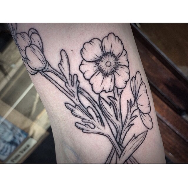 Flower, Rose