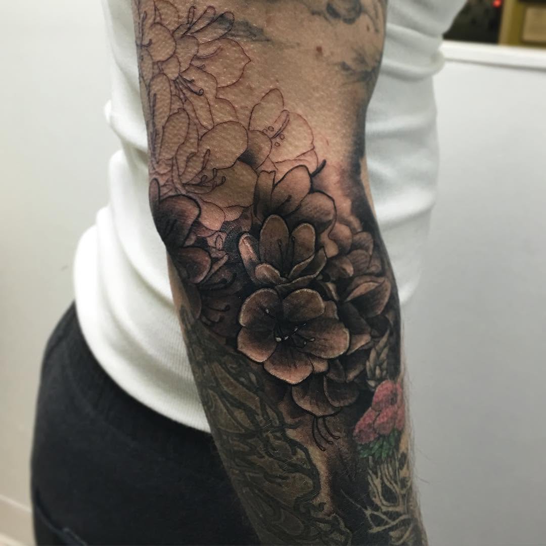 Flower, Rose
