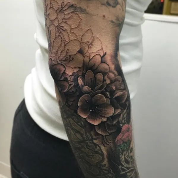 Flower, Rose