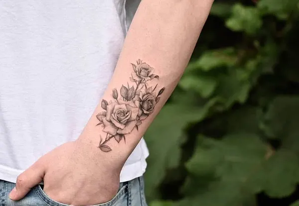 Flower, Rose