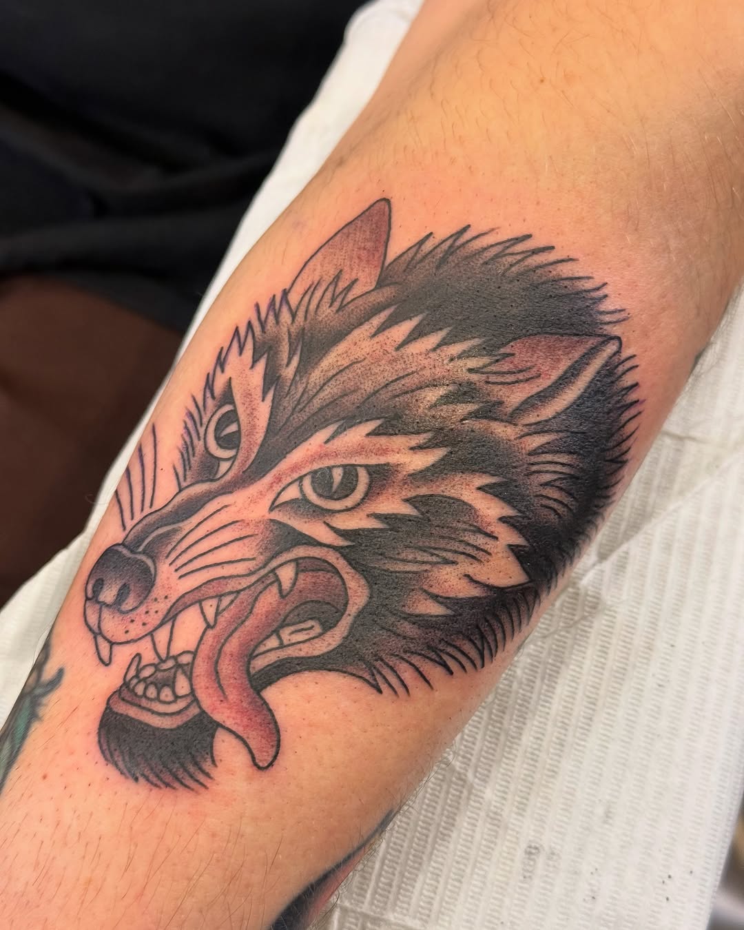 Tiger, Animal