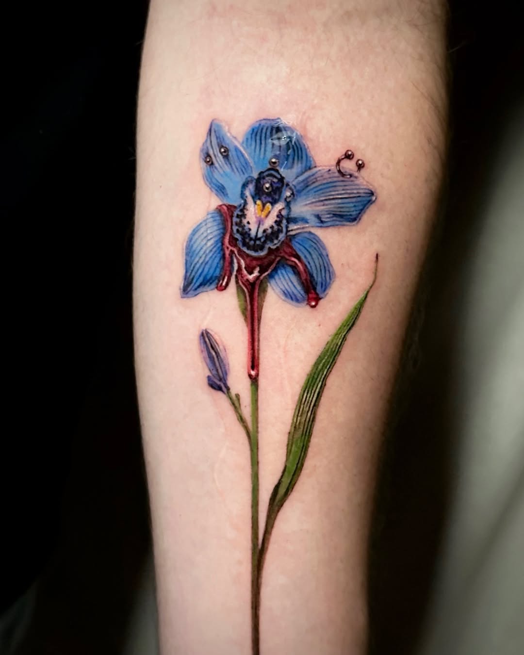 Flower, 난초
