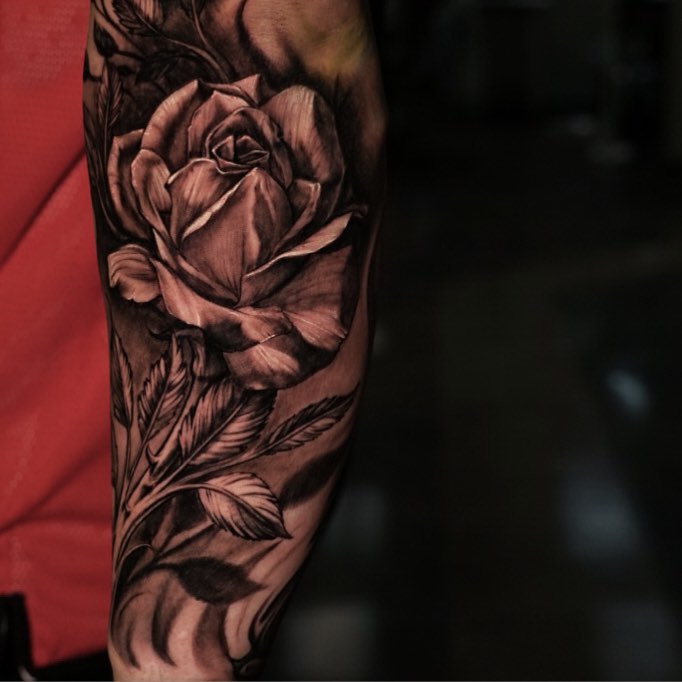Flower, Rose