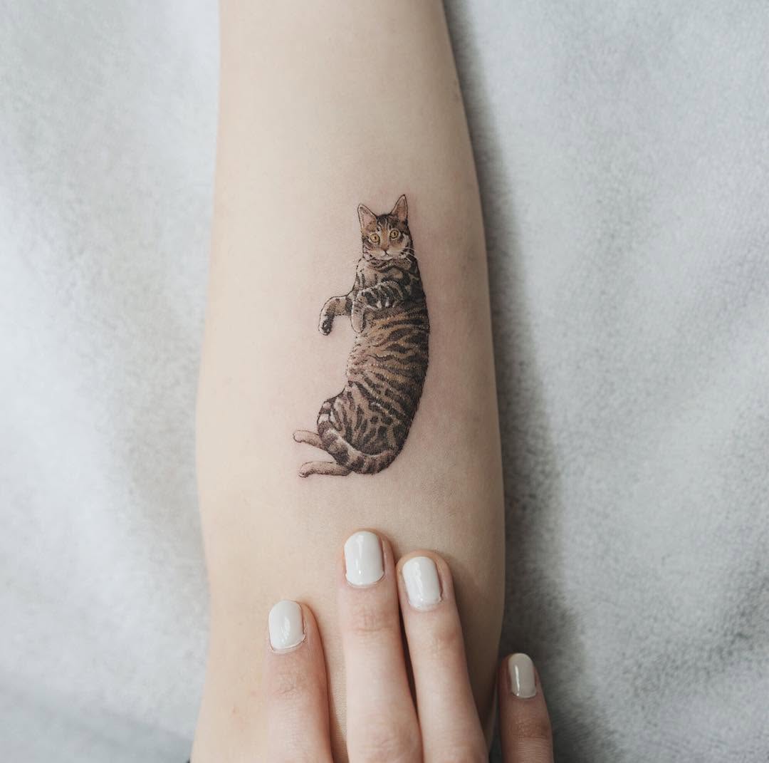 soltattoo