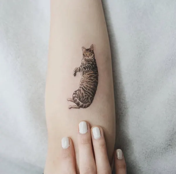 soltattoo