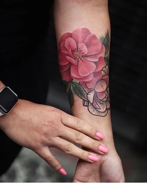 Flower, Rose