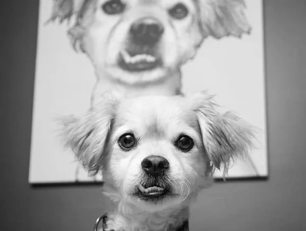 waz.art