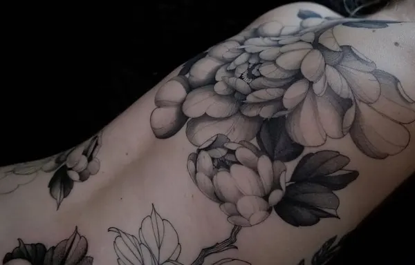 Flower, Rose