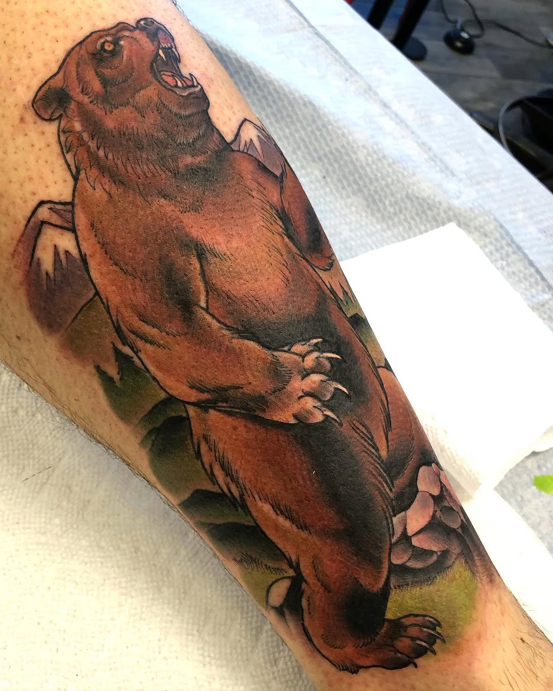 Animal