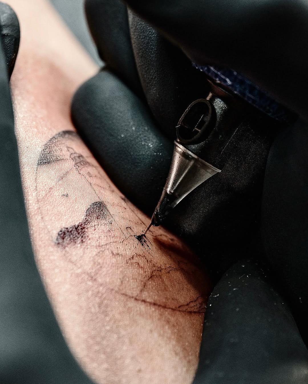 romeolacoste