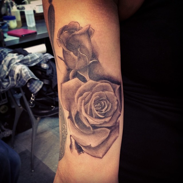 Flower, Rose