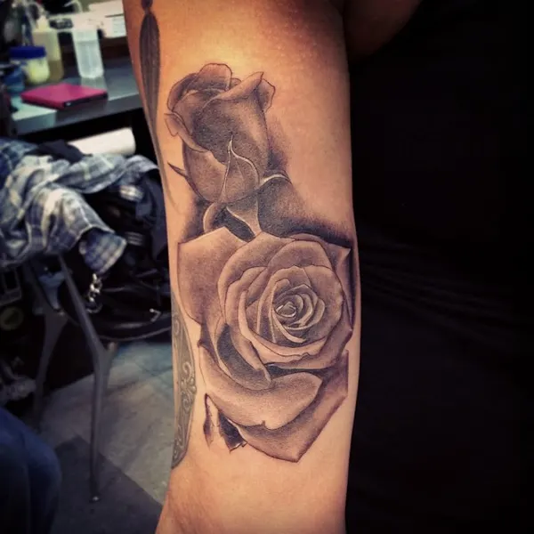 Flower, Rose