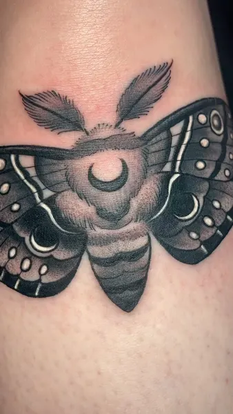 Animal, Nature
