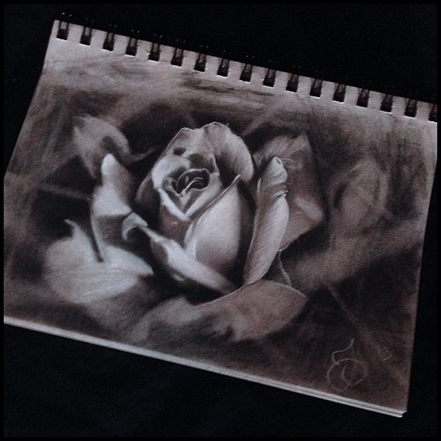 Flower, Rose