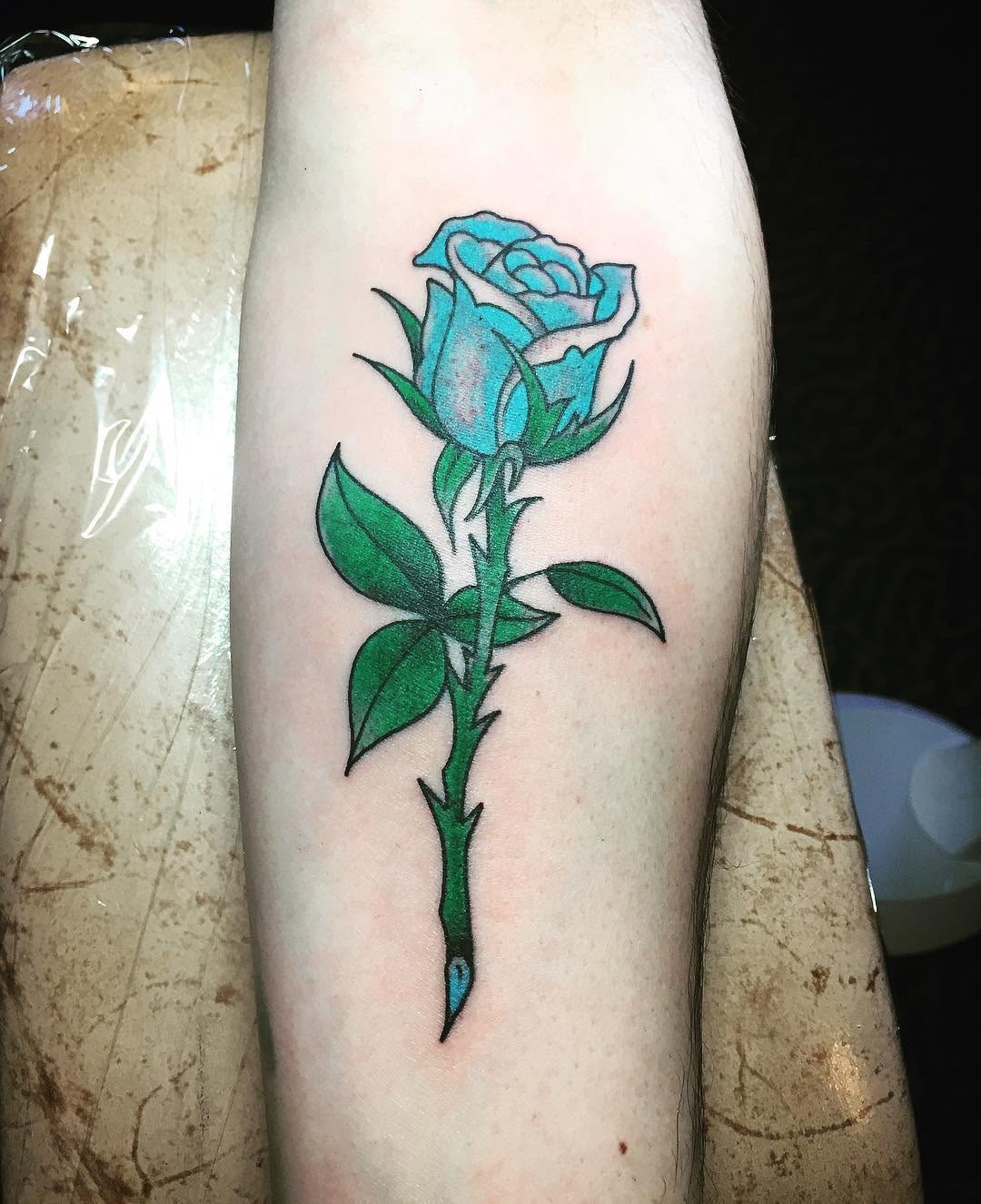 Flower, Rose, Nature