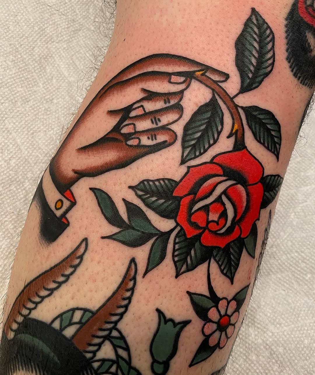 Flower, Rose