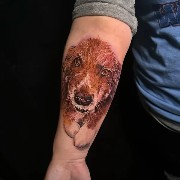 Animal, 강아지