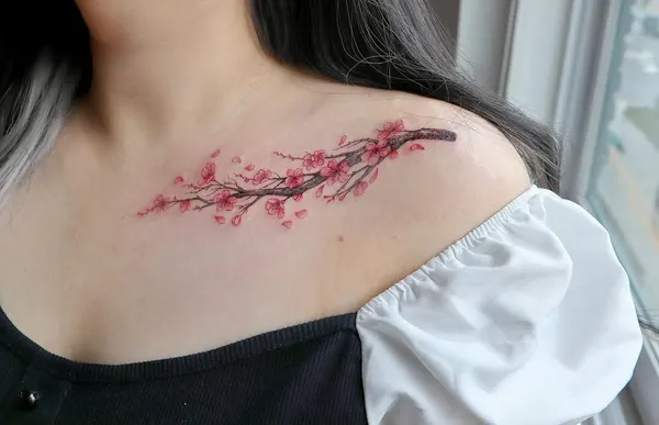 사쿠라