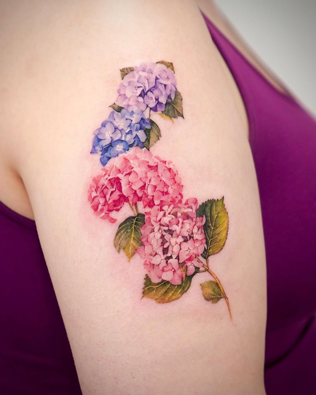 Flower, 수국