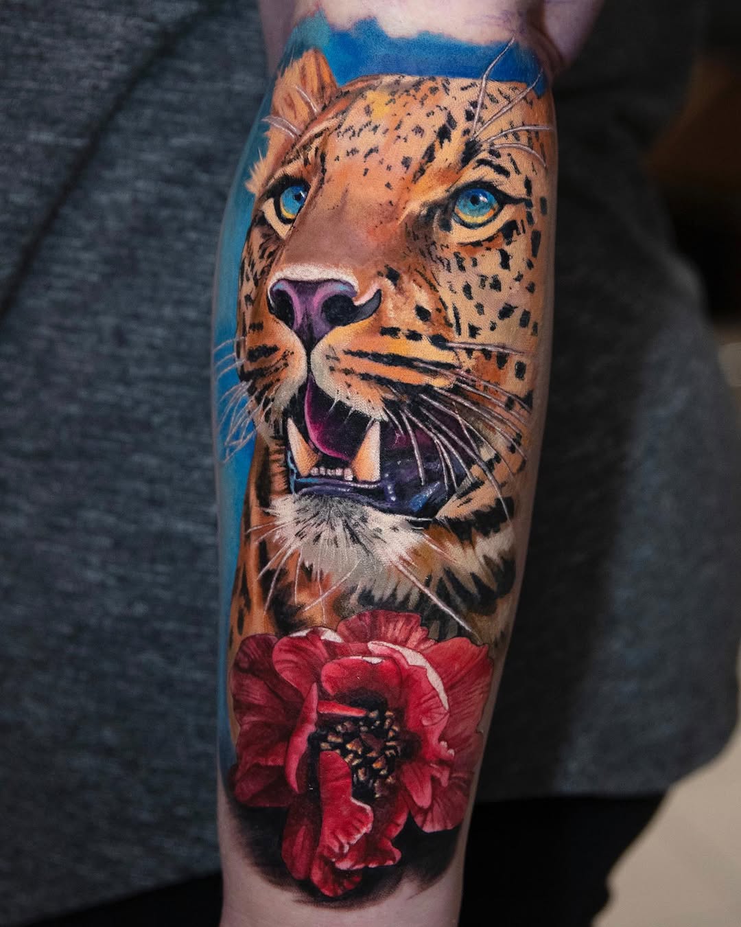 Animal