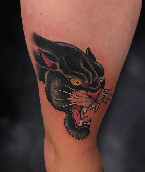 Tiger, Animal