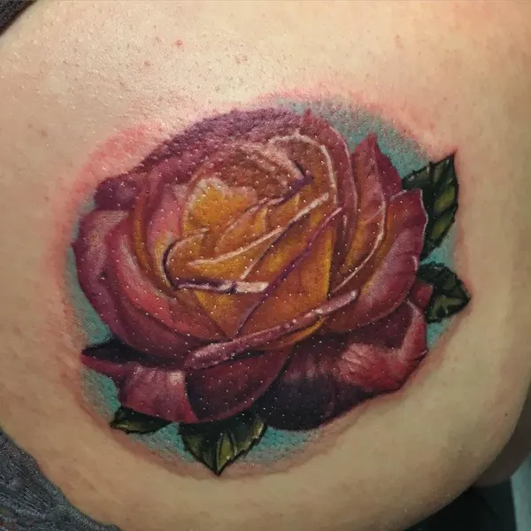 Flower, Rose, Nature