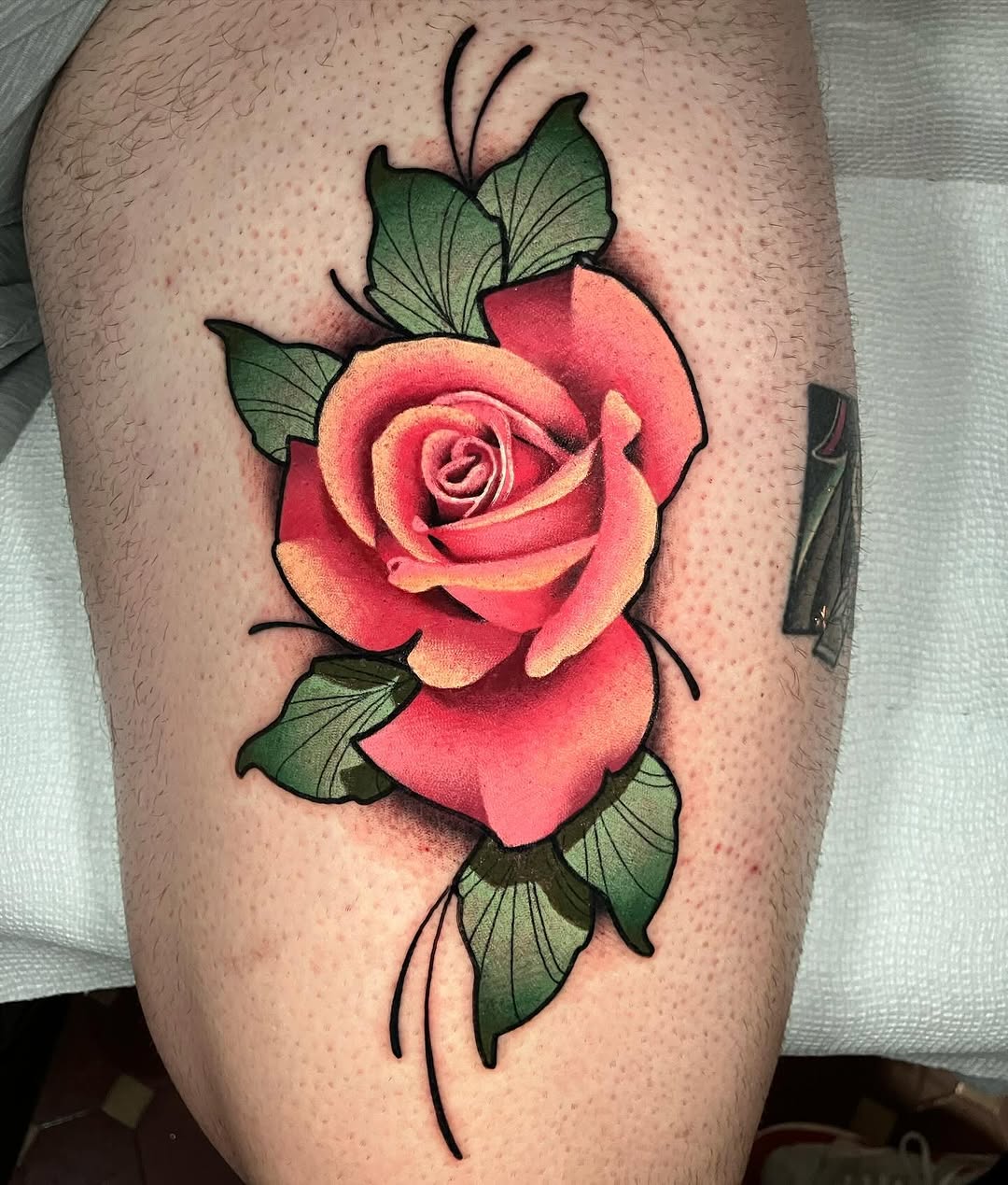 Flower, Rose
