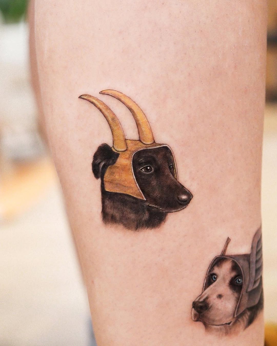 Animal