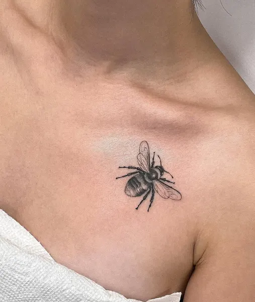 Animal