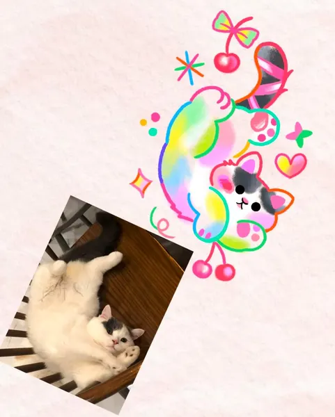 Animal
