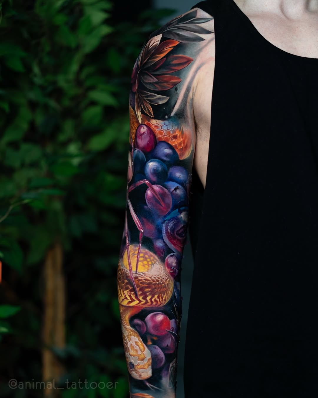 animal_tattooer