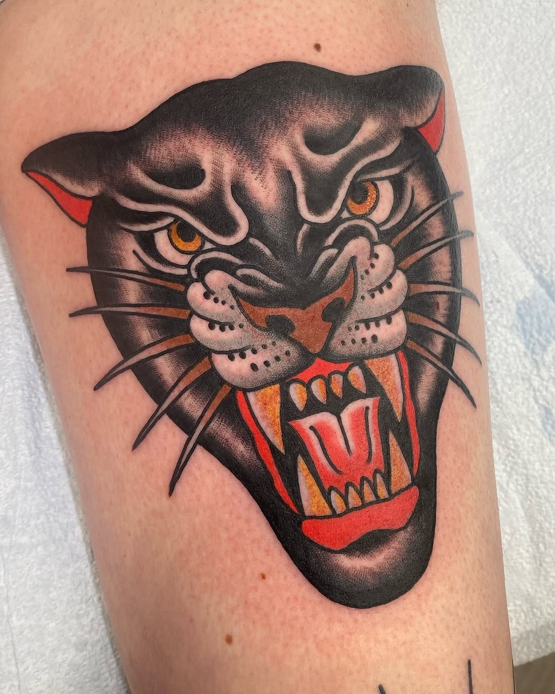Tiger, Animal