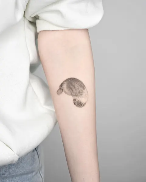 펭귄, 너구리, 다람쥐, 코알라, 고슴도치, 나무늘보, Animal, 판다