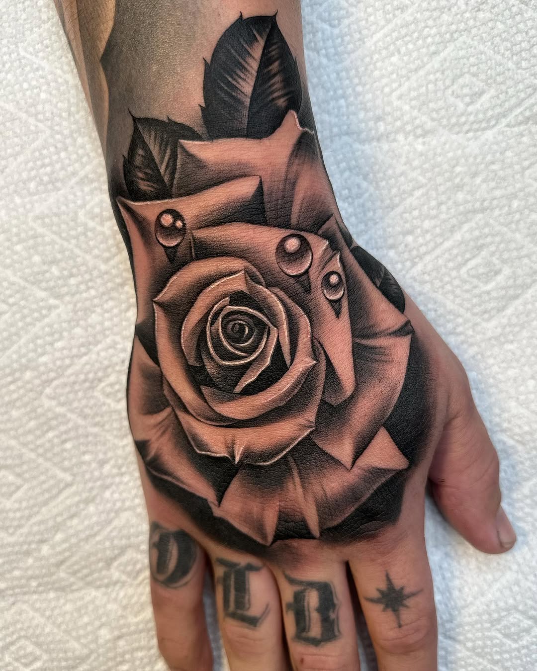 Flower, Rose