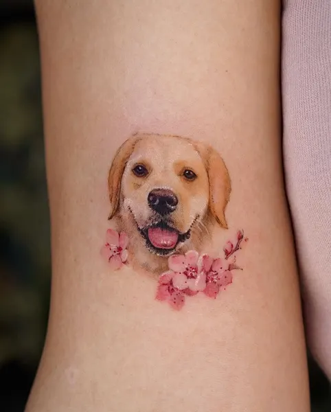 Animal