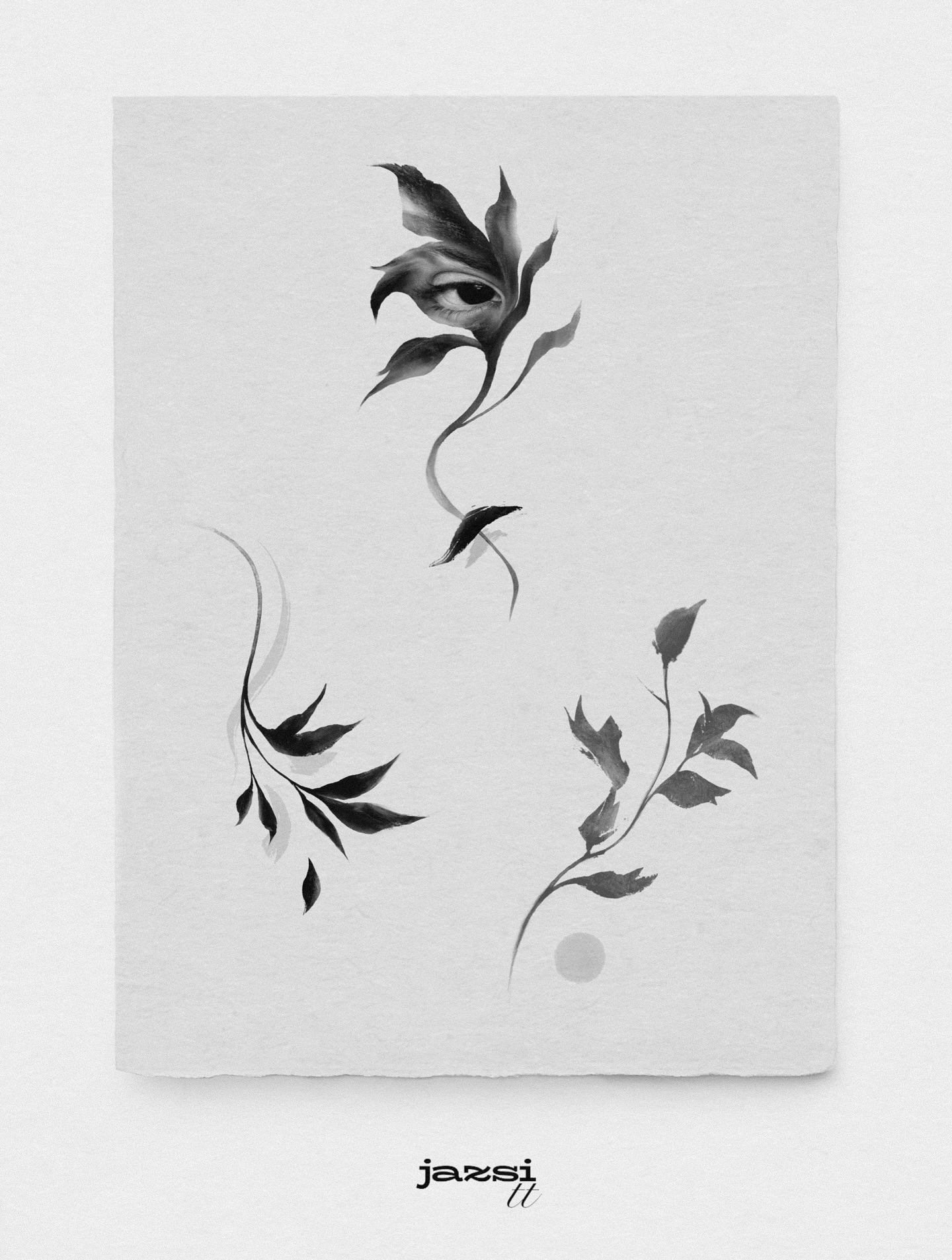 Flower, Rose, Nature