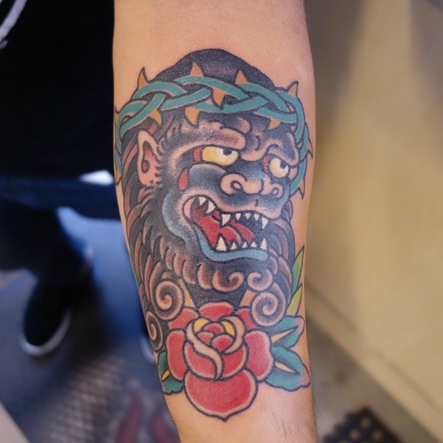 Animal, Tiger