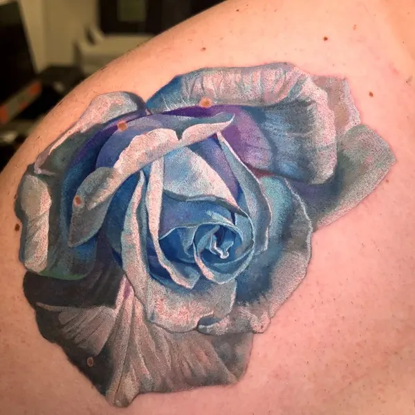 Flower, Rose, Nature