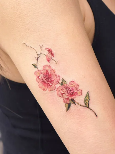 Flower, Rose, Nature