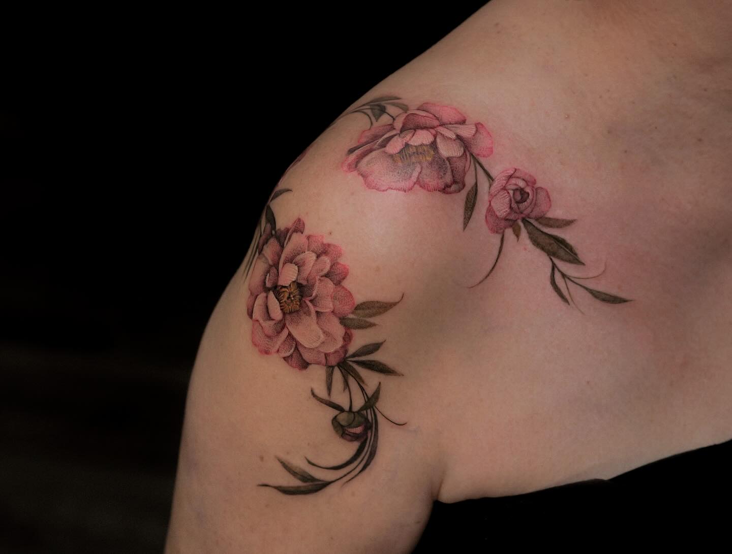 Flower, Rose, Nature