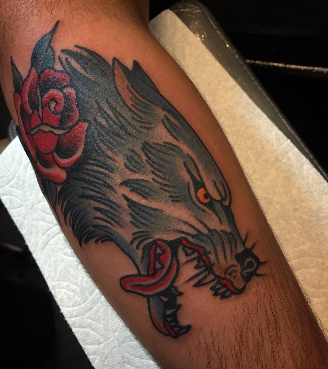 Tiger, Animal