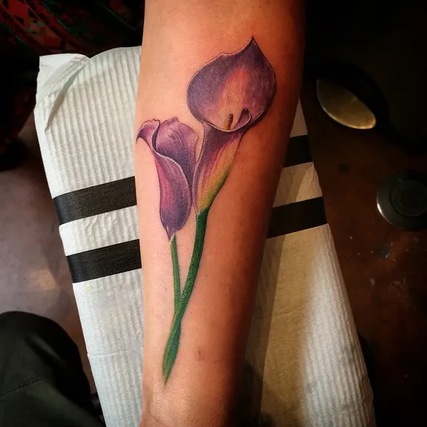 Flower, 튤립, 아이리스, 양귀비