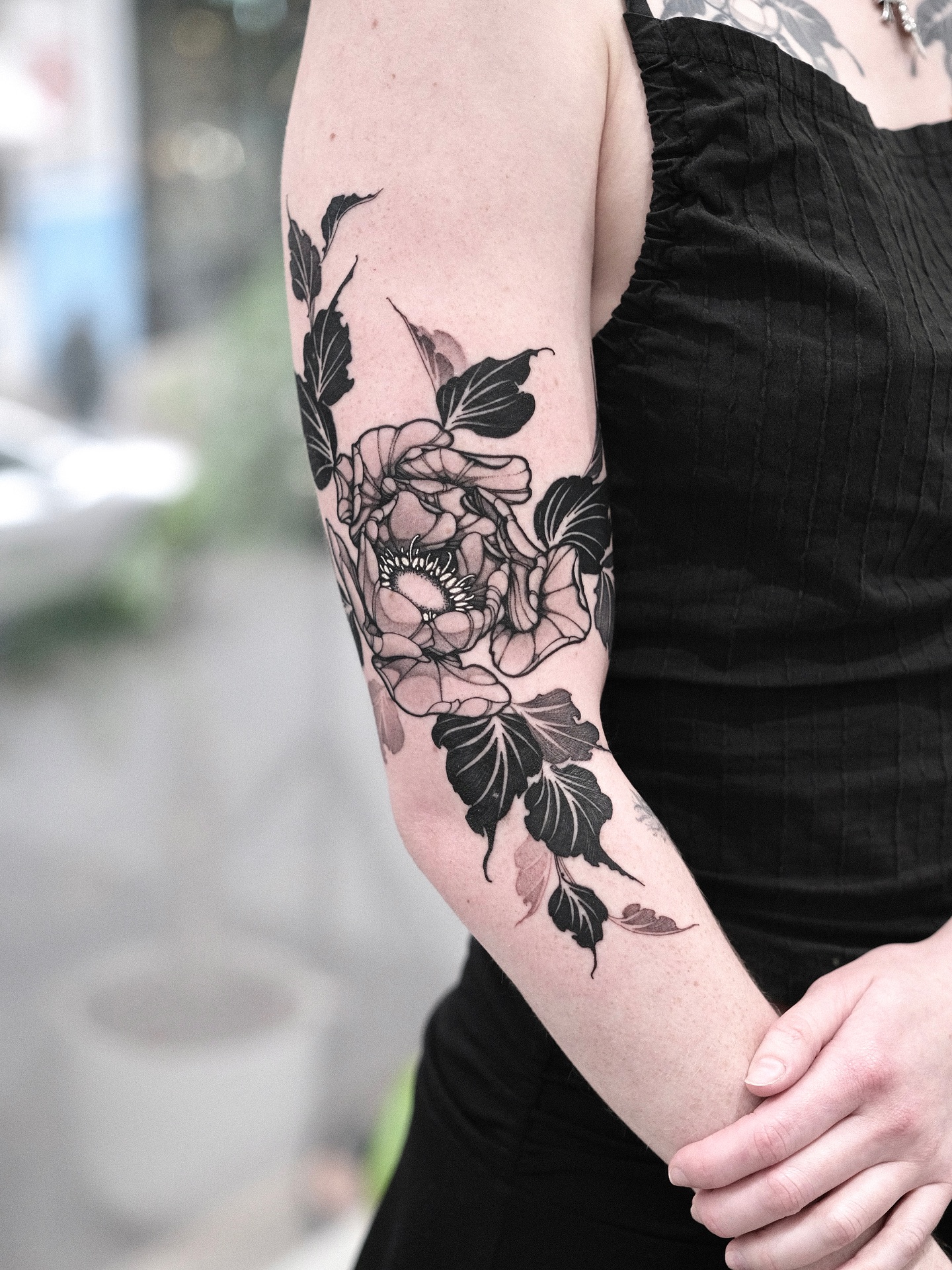 Flower, Rose, Nature