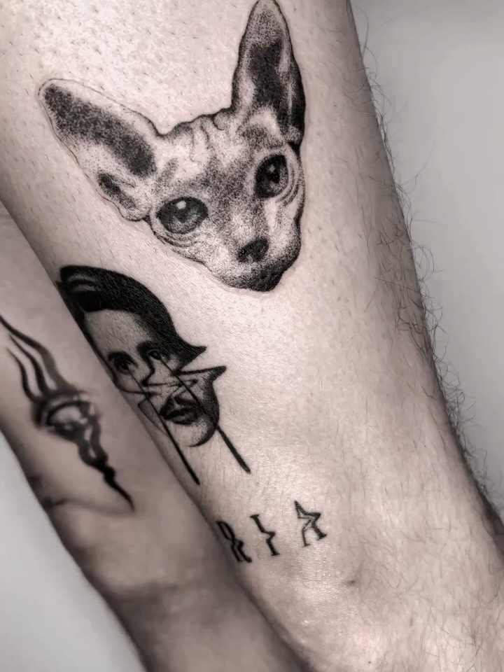 Animal