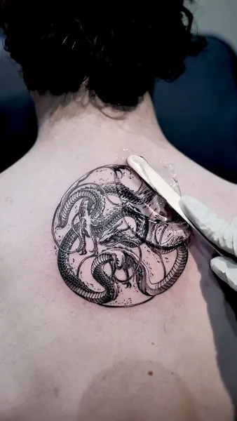 Dragon