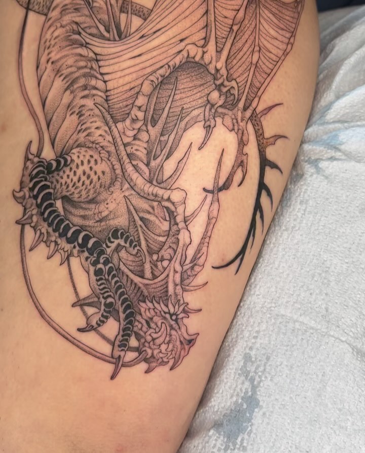 Dragon