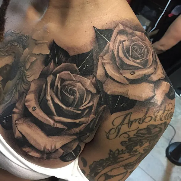 Flower, Rose, Nature