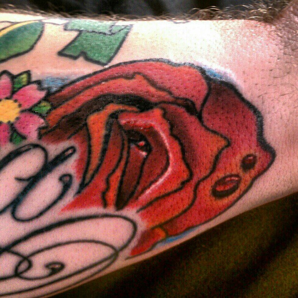 Flower, Rose