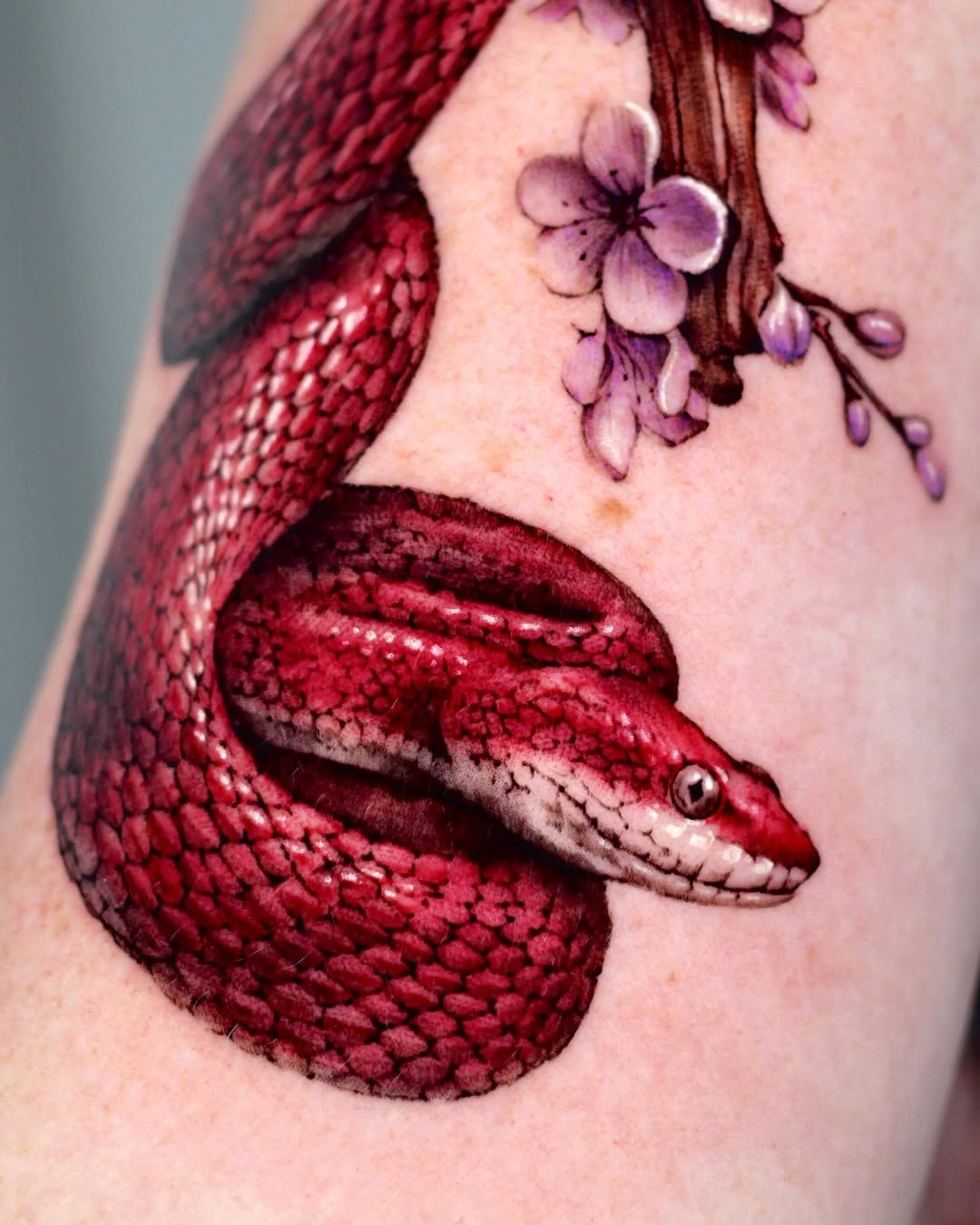 Tattoo_nyang