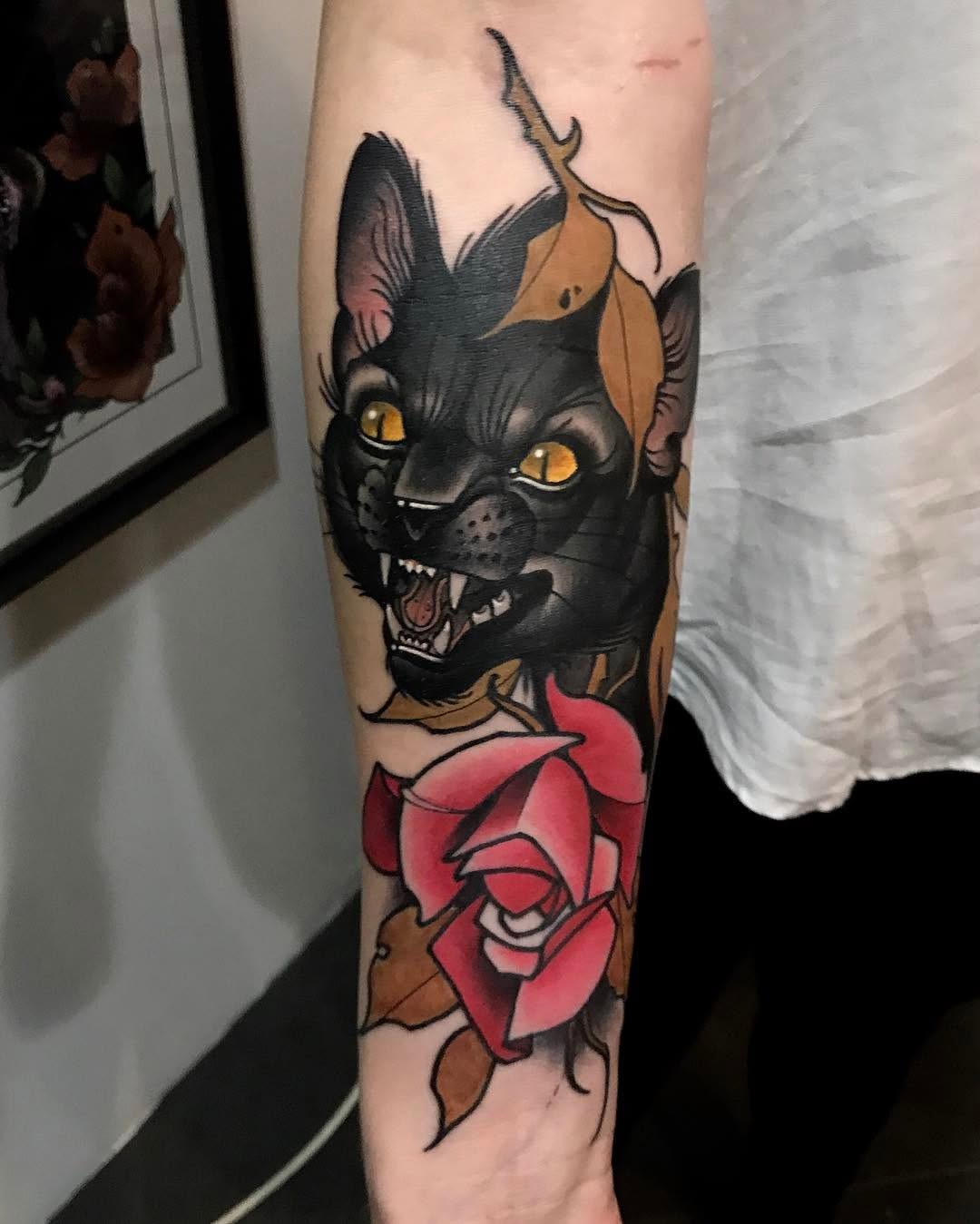 Animal